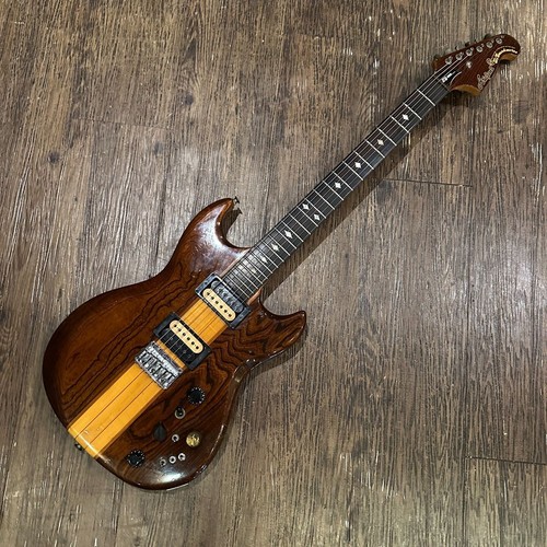Chitarra elettrica aria pro - elettrica,