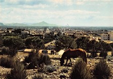 Cartolina Sparanise panorama