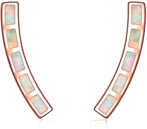 Stunning opal earrings 14k - earrings,