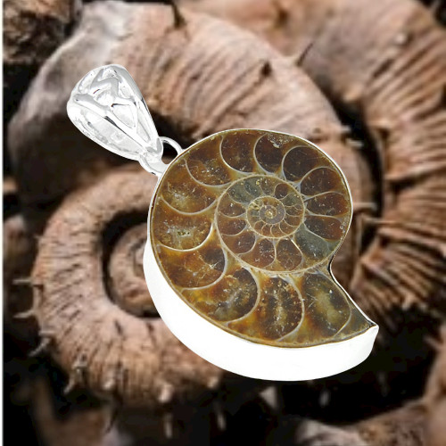 Collier pendentif fossile en - pendentif,
