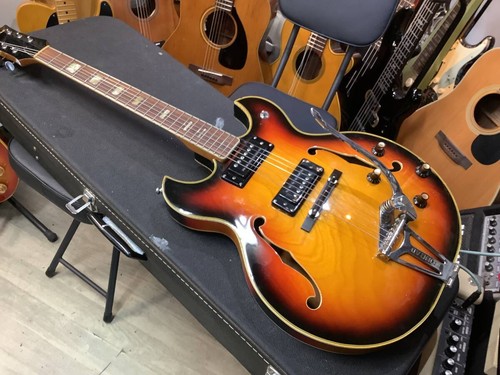 Ventura conrad hollow body - conrad,