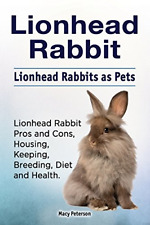 Lionhead Rabbit. Lionhead
