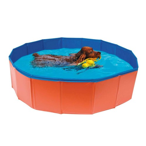 Piscina per cani pieghevole - cani,