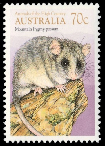 Australia 1168 - australia, (sg1235)