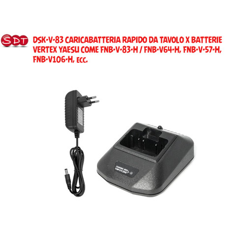 Dsk caricabatteria rapido - dsk-v-83,