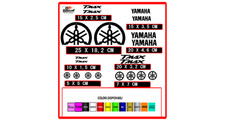 Kit adesivi YAMAHA TMAX 20
