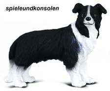 Border collie cani e - border,