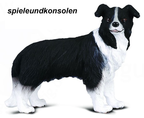 Border collie cani e - collie, 7