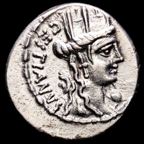 Lucernae plaetorius mf - *lucernae*,