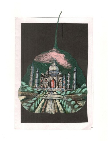 Asciugare sacro fico - fico, foglia