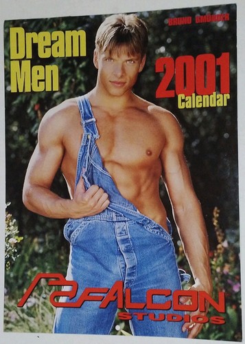 Falcon calendar 2001 dream - calendar,