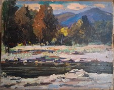 Dipinto Olio Su Cartone "Torrente"