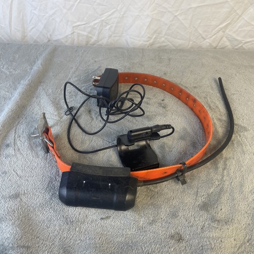 Garmin dc40 collare - dc40,