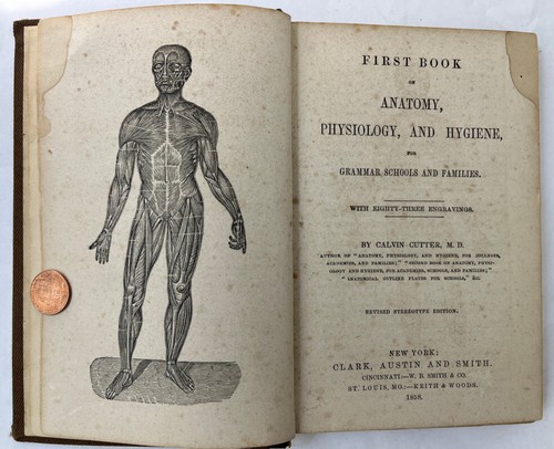 1858 first book anatomy - first,