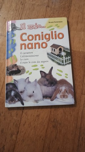 Mio coniglio nano tutte - il,
