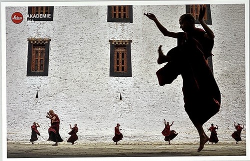 David butow art - butow,