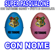 HARRY POTTER SUPER PASQUALONE
