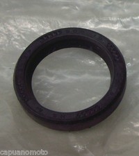 PARAOLIO PER VOLANO MAGNETE