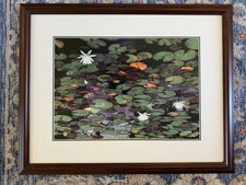 Thomas Mangelsen Salmon Lake