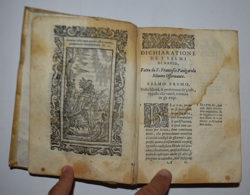 Salmi david fig 1586 - –,
