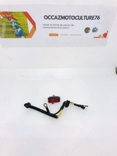 Fascio Elettrico Motosega