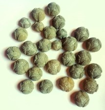 gruppo 32 * BOTTONE GIOIELLO elegante vintage  anni 50 * colore celeste polvere