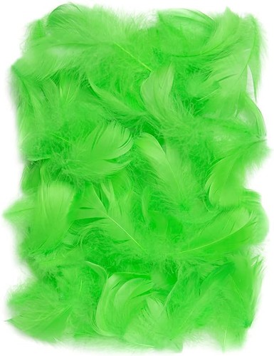 150 piume decorative verde - verde, 10g