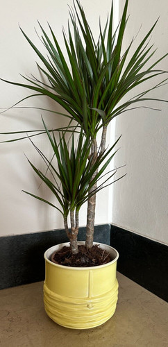 Antico vaso ceramica - vaso,