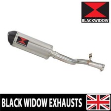 Silenziatore ovale BMW F900R