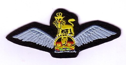 Wwii glider pilot - -,