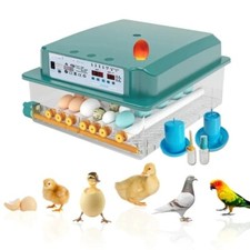 Incubatrice automatica
