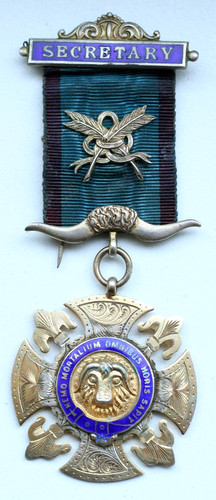Medaglia smaltata argento