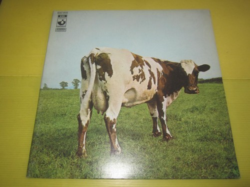 Pink floyd atom heart - pink,