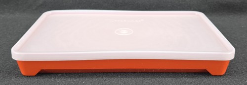 Vintage tupperware deli meat - vintage,
