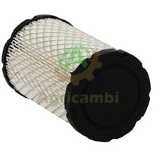 Filtro aria Briggs & Stratton