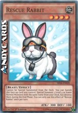 RESCUE RABBIT • (Coniglio Da