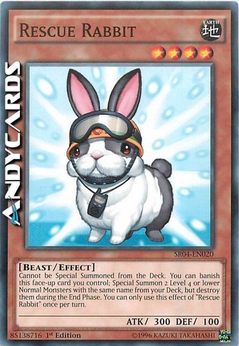 Rescue rabbit coniglio - •, (coniglio