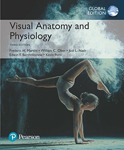 Fast ship new visual anatomy - new,