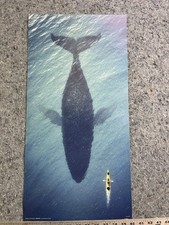 Poster Big Fish Whale Shadow