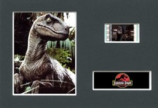 Jurassic park velociraptor - jurassic,