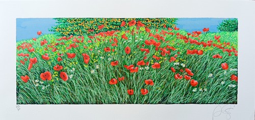 Franco azzinari serigrafia - franco,