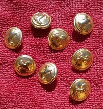 Lotto di 8 bottoni ottone divisa vigili urbani Arezzo anni '50 cavallo rampante 