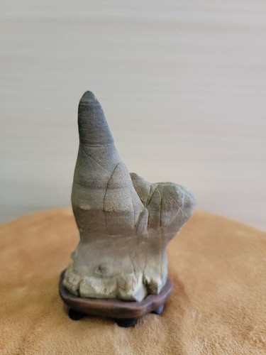 Bonsai suiseki bonseki - bonsai,