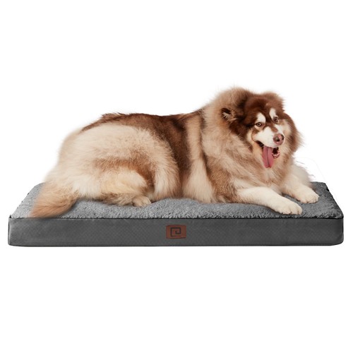 Cuccia cane interno - cane,