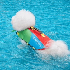 Costume da bagno cane surf