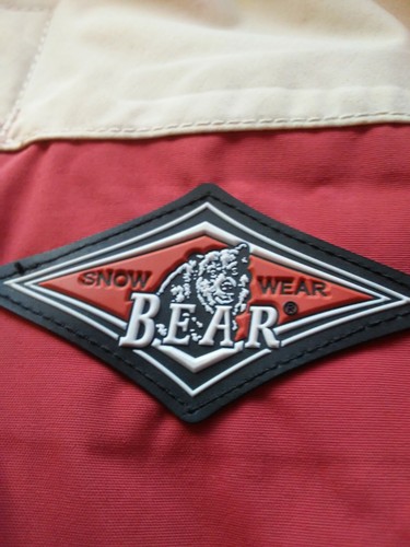 Bear surfboard mountain snow