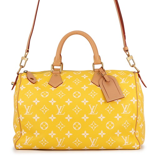 Louis vuitton speedy - speedy, p9