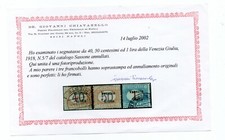 VENEZIA GIULIA 1918 SEGNATASSE