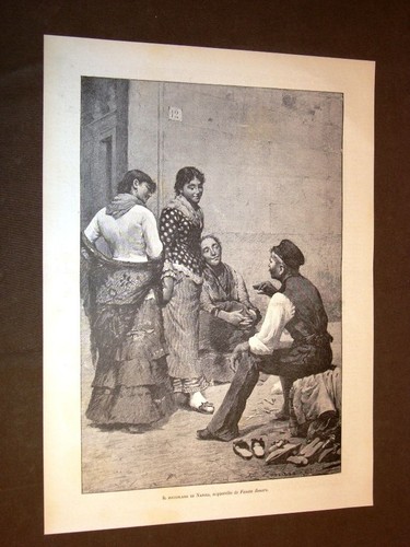Rarissima zoccolaro di - rarissima, il