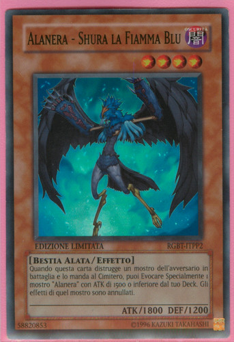 Alanera shura fiamma - alanera,